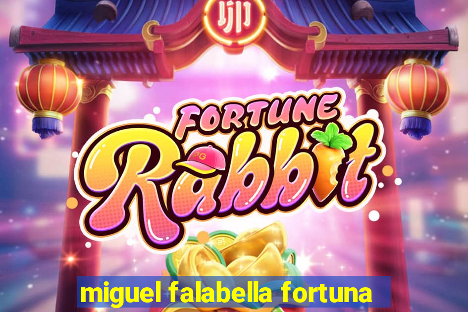 miguel falabella fortuna